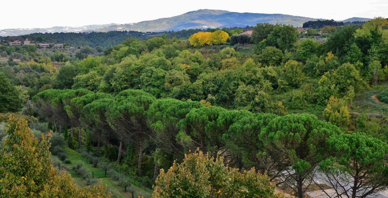 Città della Pieve Pieve Suites מראה חיצוני תמונה